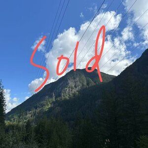 BloomChic Plus Size 2XL Silhouette Floral Print Notched Collar Pleated Blouse